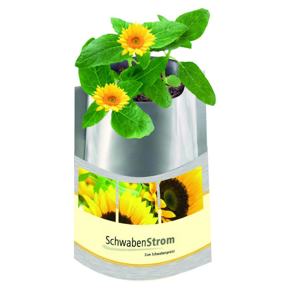 Plant-Bag Sonne Werbeartikel