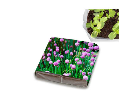 Product image PopUp Anzuchterde mit Samen - Petersilie Werbeartikel