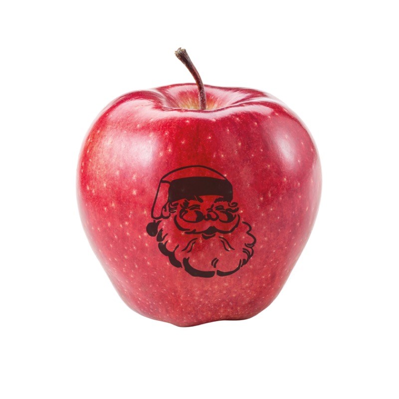 LogoFrucht Apfel Nikolaus Werbeartikel