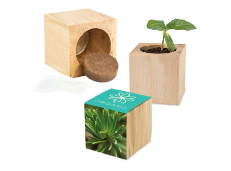 Product image Pflanz-Holz Maxi mit Samen - Basilikum Werbeartikel