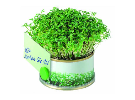 Product image Minigarten Kräuter mit Magnet Werbeartikel