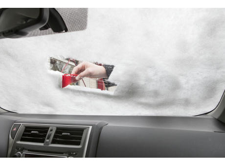 Eiskratzer aus Kunststoff Amaryllis Werbeartikel