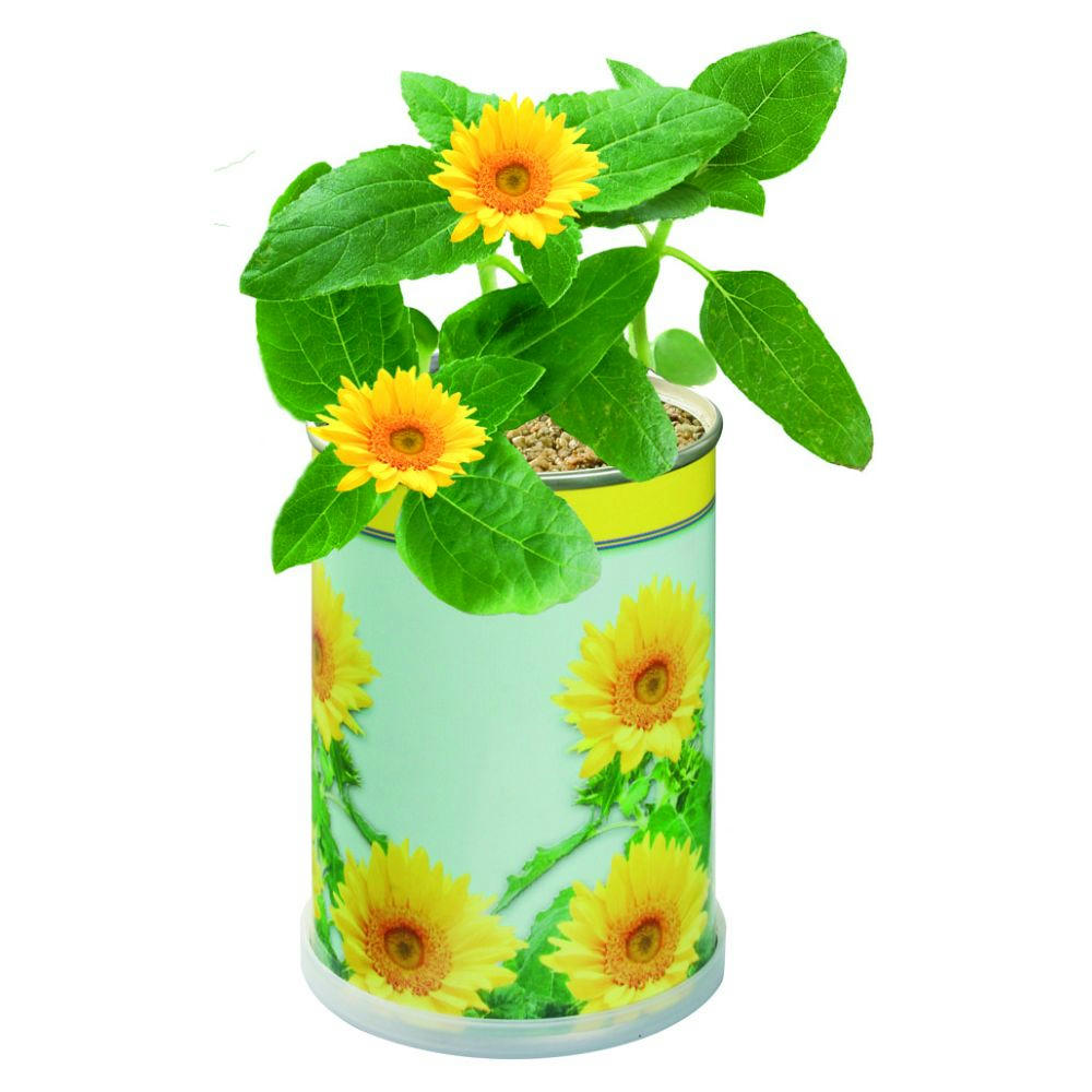 Product image Blumendose Sonne Werbeartikel