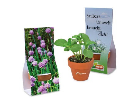 Logo-Töpfchen Überreichverpackung mit Samen - Petersilie Werbeartikel