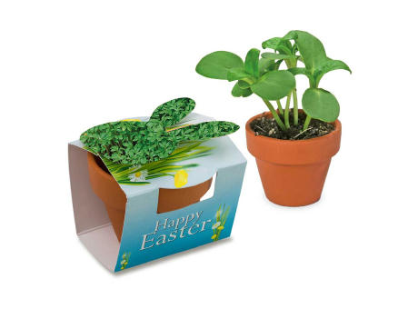 Tontöpfchen-Hase mit Samen - Basilikum Werbeartikel