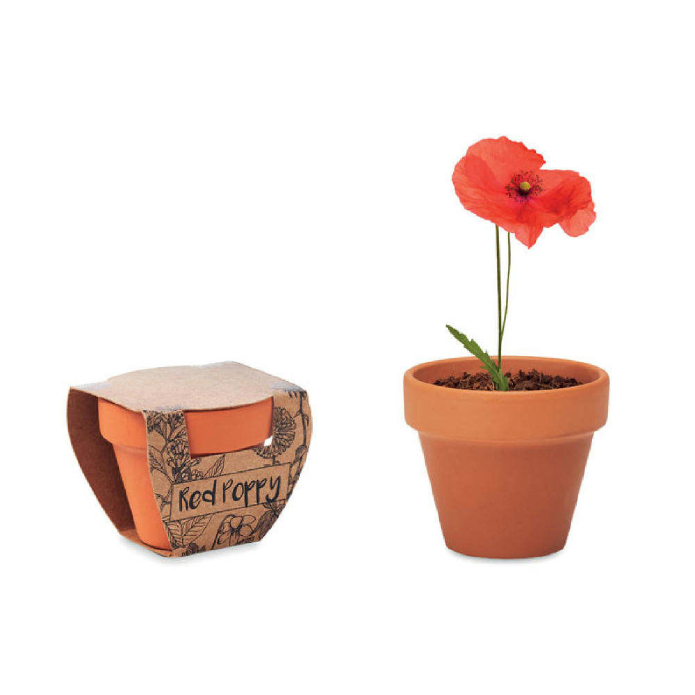 Product image Terracotta-Topf Mohnblume Werbeartikel