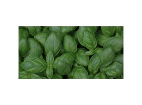 Sproutworld Sharpened Pencil Bleistifte angespitzt Werbeartikel