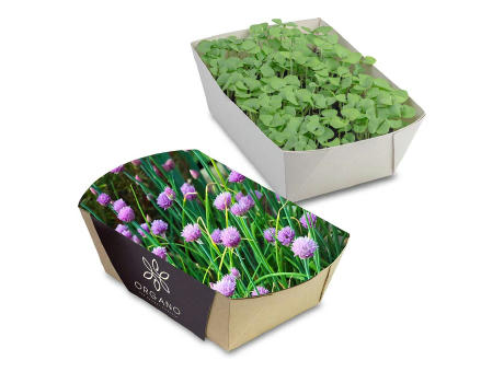 Pflanz-Schale mit Samen - Petersilie Werbeartikel