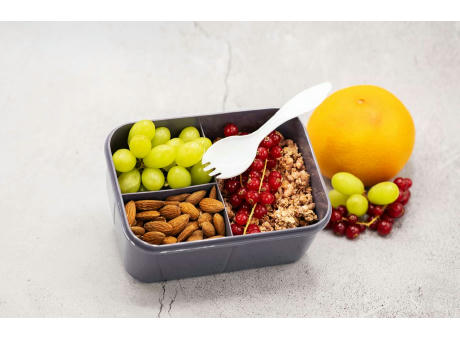 SNACK Lunchbox mit Inneneinteilung und Göffelfach Werbeartikel