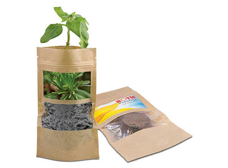 Product image Grünes aus der Tüte mit Samen - Fichte Werbeartikel