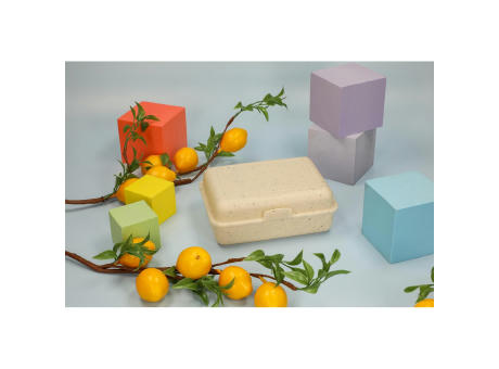 Vorratsdose "School-Box" groß, ISCC-zertifiziert Werbeartikel