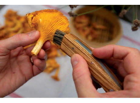 Pilzmesser Werbeartikel