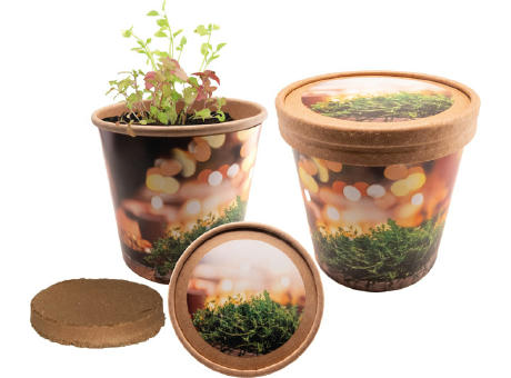 Product image Weihnachtliche Kräutergrüße Werbeartikel