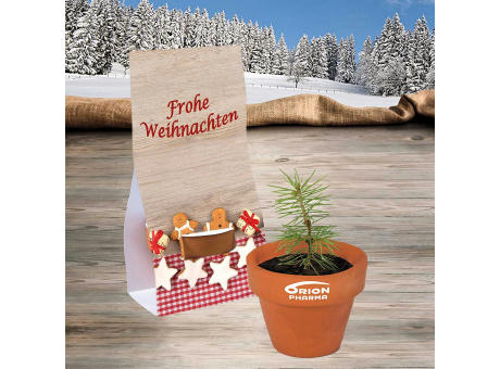 Logo-Töpfchen Überreichverpackung mit Samen - Fichte Werbeartikel