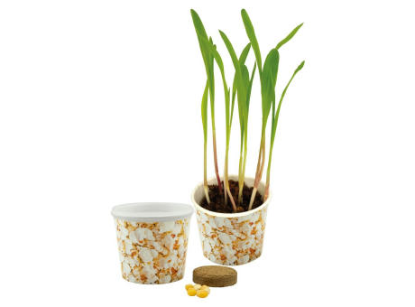 Product image Snack 2Grow Popcorn Werbeartikel