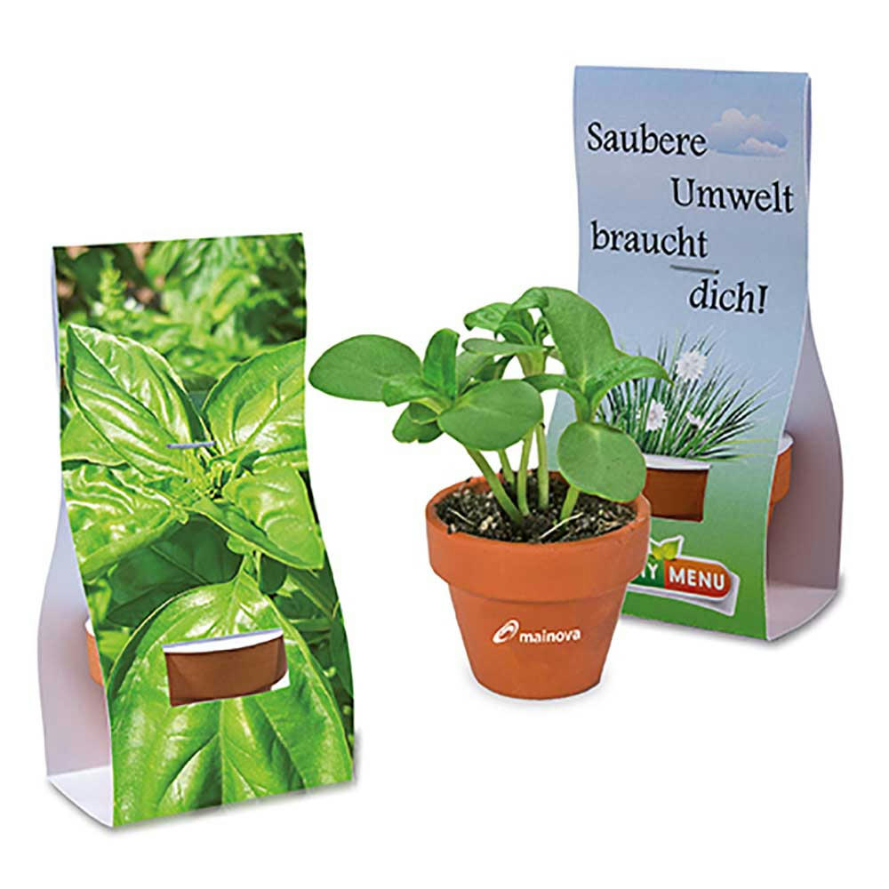 Product image Logo-Töpfchen Überreichverpackung mit Samen - Basilikum Werbeartikel
