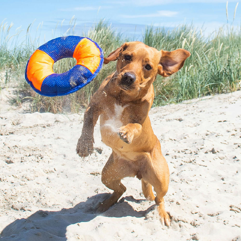 Hundespielzeug Flying Disc Werbeartikel