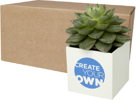 Product image Hey Pots Blumentopf aus Aluminium, Kaktus Werbeartikel