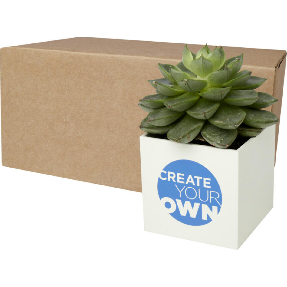 Product image Hey Pots Blumentopf aus Aluminium, Kaktus Werbeartikel