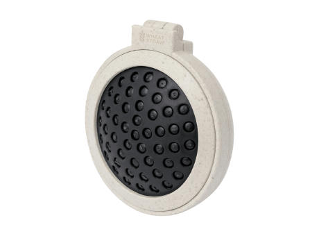 Spiegel mit Haarbürste Webrush bedrucken