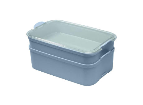 nature flower blue/crystal clear