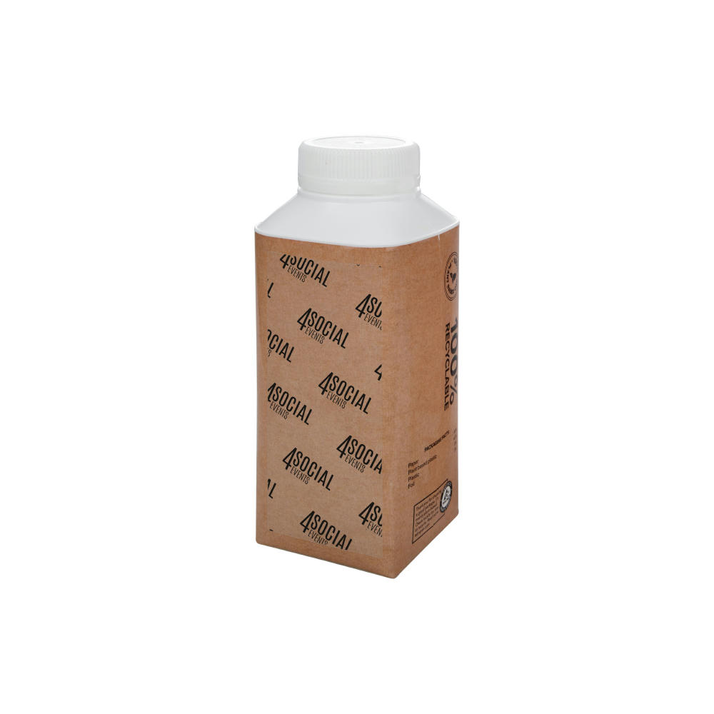 EARTH Water Tetra Pak 330 ml Werbeartikel