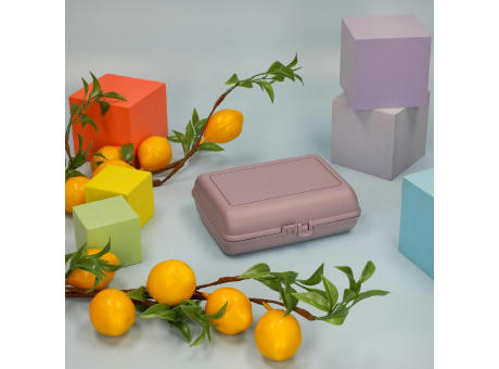 Bio-Vorratsdose "Switch" Werbeartikel