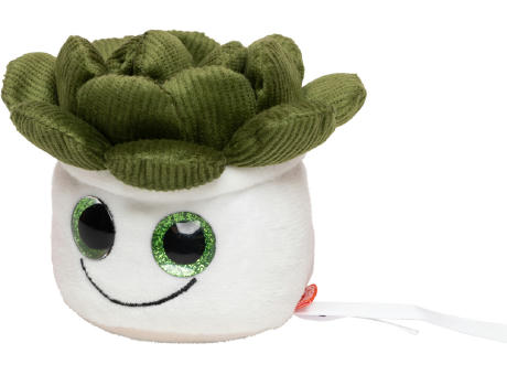 Schmoozies® Evergreenies® Sukkulente Werbeartikel