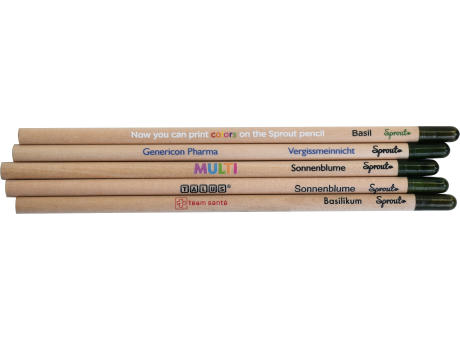 SPROUT - Farbstift mit Etui Standard Werbeartikel
