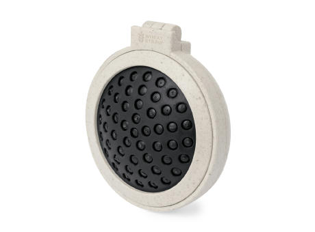 Bürste mit Spiegel Flege Werbeartikel