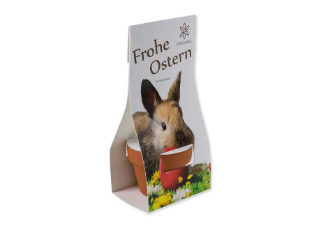 Logo-Töpfchen Überreichverpackung mit Samen - Ostern - Eierbaumsamen Werbeartikel