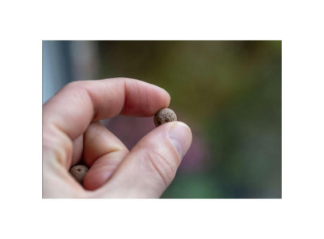 Green Balls Mini-Ökosystem Werbeartikel