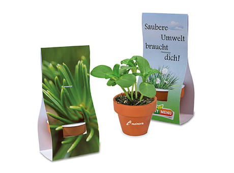Product image Logo-Töpfchen Überreichverpackung mit Samen - Basilikum Werbeartikel