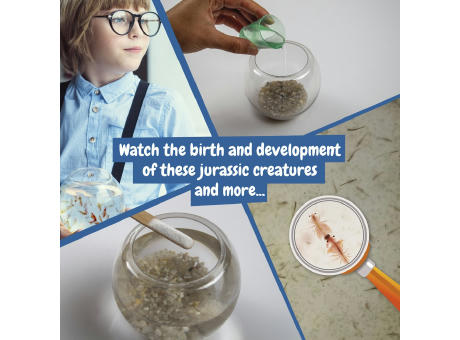 Jurassic Pets Kit II. Lernspiel lieferung inklusive einer kraftpapiertasche (115 g/m²), aus FSC™-zertifiziertem Material und anderen kontrollierten Materialien hergestellt Werbeartikel