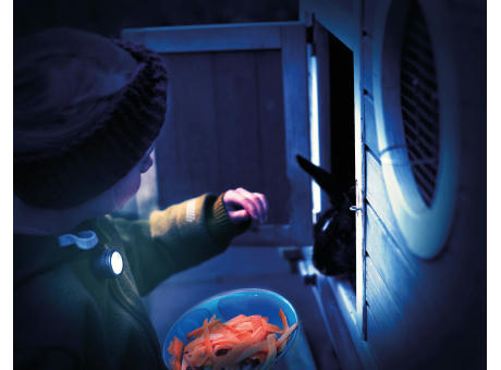 TROIKA Taschenlampe ECO RUN PRO Werbeartikel