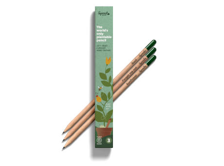 Product image SPROUT - 3er Set Bleistifte Werbeartikel