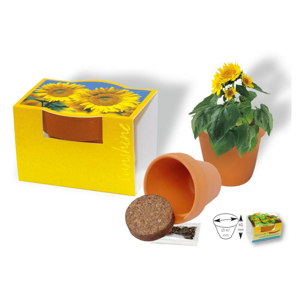 Product image Tontöpfchen Sonne Werbeartikel
