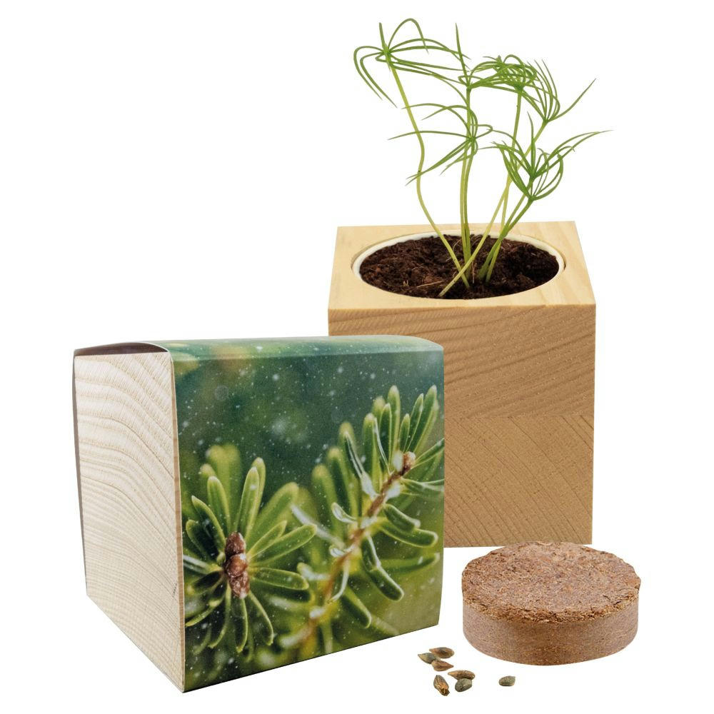 Product image Großer Natur-Würfel Fichte Werbeartikel