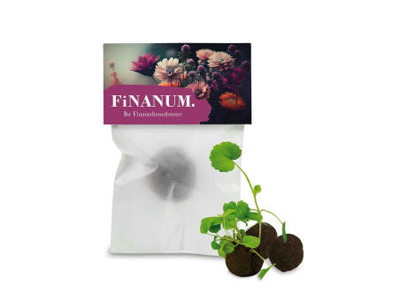 Flower-Balls im Pergamintütchen - 1 Stück Werbeartikel