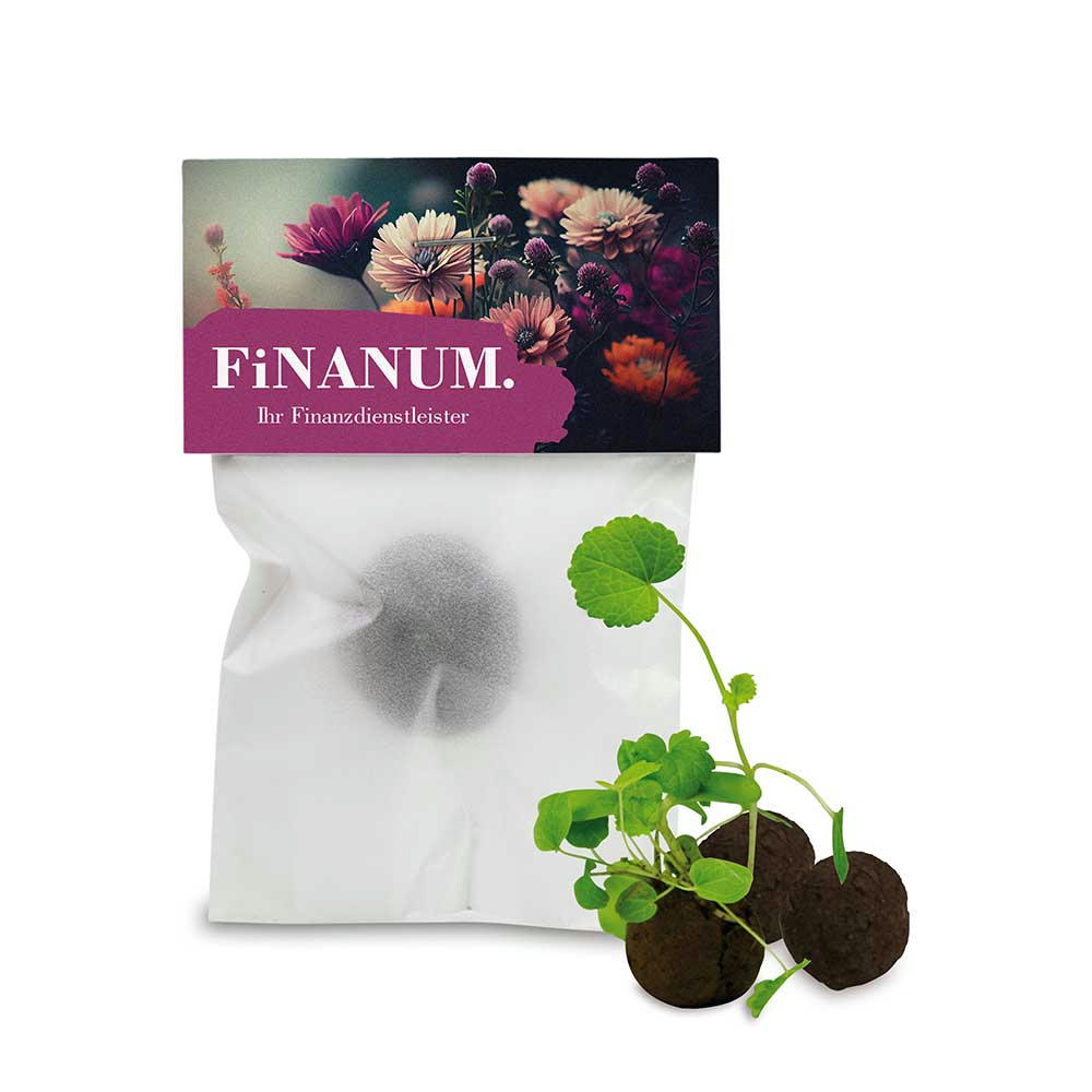 Product image Flower-Balls im Pergamintütchen - 1 Stück Werbeartikel