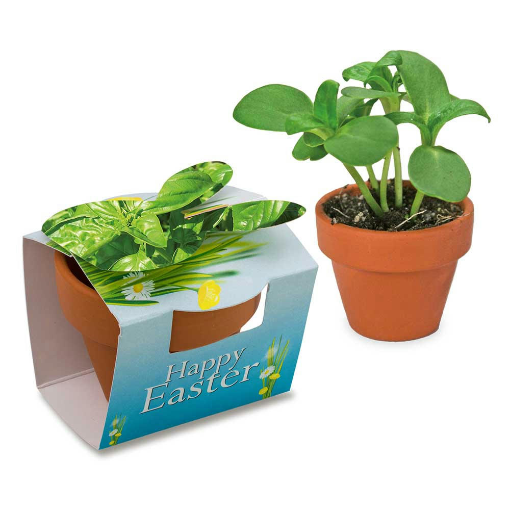 Product image Tontöpfchen-Hase mit Samen - Basilikum Werbeartikel
