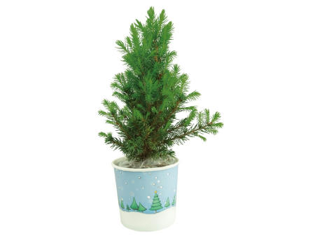 Product image Cup-Bäumchen 20-30 cm Werbeartikel