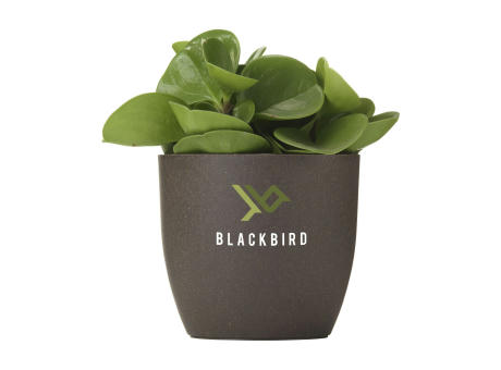 Product image Coffee Flowerpot Blumentopf Werbeartikel