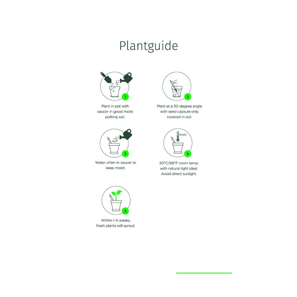 Sproutworld Unsharpened Pencil Bleisstift ungespitzt Werbeartikel