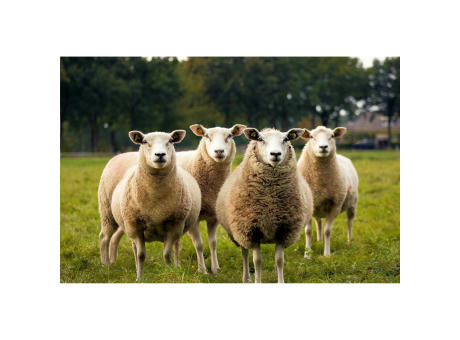 KYWIE Wine Cooler Suede Weinkühler Werbeartikel