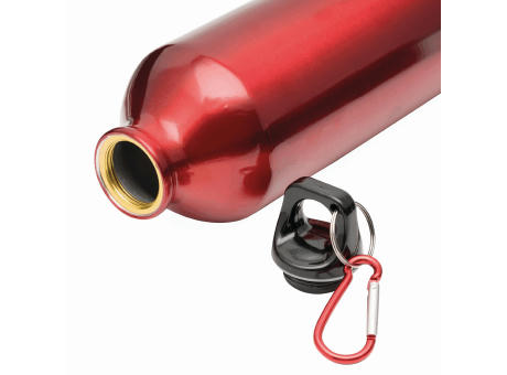 BIG TRANSIT - Aluminium-Trinkflasche Werbeartikel