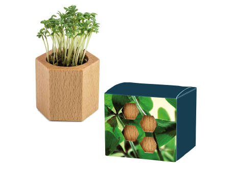 Pflanz-Holz Hexagon mit Samen - Fichte Werbeartikel