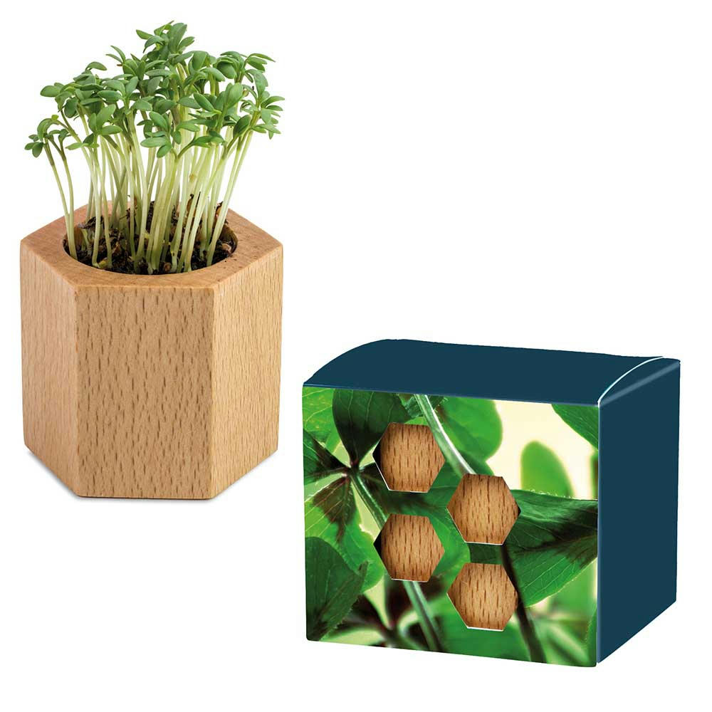 Product image Pflanz-Holz Hexagon mit Samen - Fichte Werbeartikel