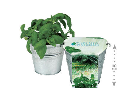 Maxi Kräuter-Eimer Werbeartikel