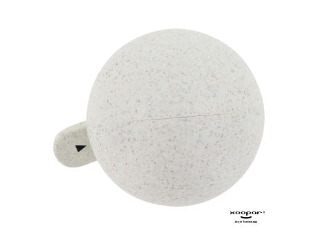 4129 | Xoopar Mr. Bio 25 Timer bedrucken